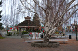 DSC_4864a.jpg