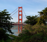 DSC_6773a.jpg