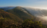 DSC_7227a.jpg