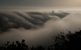 DSC_7229a.jpg