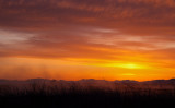 DSC_7415a.jpg