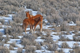 DSC_7608a.jpg