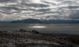 DSC_7868a.jpg