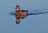 DSC_9081a.jpg