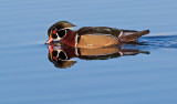 DSC_9095a.jpg