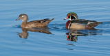 DSC_9349a.jpg