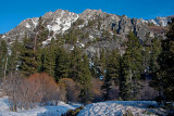 DSC_9621a.jpg