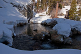DSC_9895a.jpg