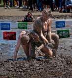 DSC_1454a.jpg