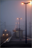 matin triste 2