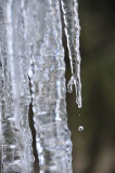 LHomme de glace