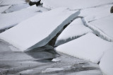 la glace craque