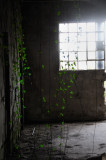 retour � la nature