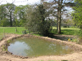 Wildlife Pond, April 2010
