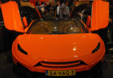 Amsterdam Auto Show 2009031.JPG