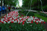 Kuekenhof013.JPG