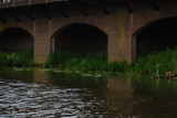 Den Bosch_077.JPG