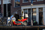 DSC_3669b.jpg