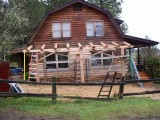 log home progress 3 064.jpg