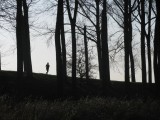 hardloopster tussen de bomen