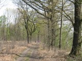 Onderweg