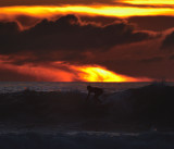 DSC_5247.jpg