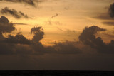 DSC_4953.jpg