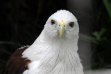 DSC_3304.jpg