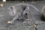 DSC_1830.jpg