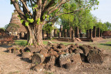 Wat Chang Lom