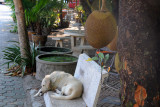 Wat Chiang Man