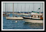Boats in Chicago Harbor