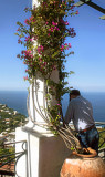 Capri