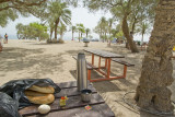 Dead Sea (folder)