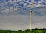 Iowa Wind Power