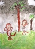 monkey, Ivan, age:5.5