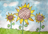 Sunflower, Sophie Wang, age:6