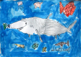 shark, Angus, age:5
