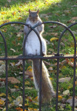 A little furry chum