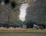 View of St Pauls from The Kings Mound Richmond