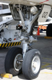 Nosegear