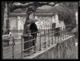 Promenade du Chien 1