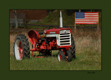 Tractor flag 08.jpg