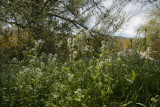 _MG_3754.JPG
