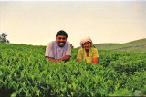 Thiru & Shanthi, somewhere in the tea plantations