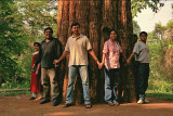 Some old teak, Shanthi named it Friends tree