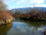 River Reflections