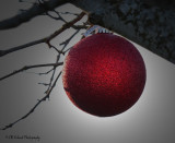 Tree Ornament - circle 4