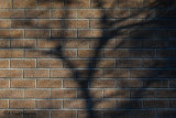 Bricks and Shadows - rectangle 4