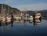 Cowichan Bay Government Dock - triangle 8